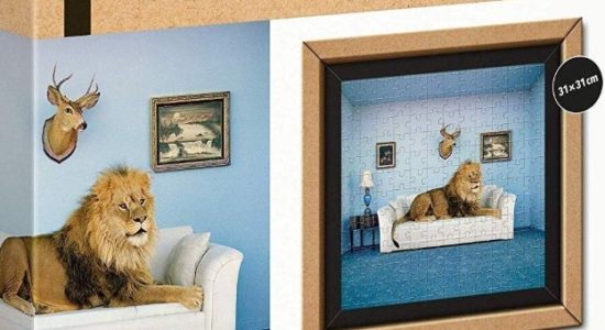 Frame Me Up Puzzle